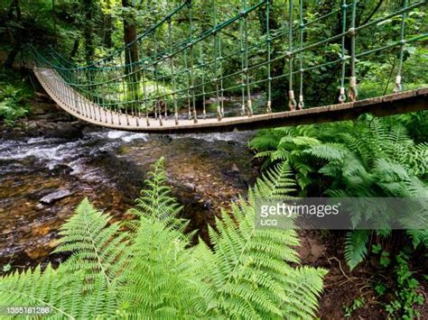 River Lynher Photos And Premium High Res Pictures Getty Images