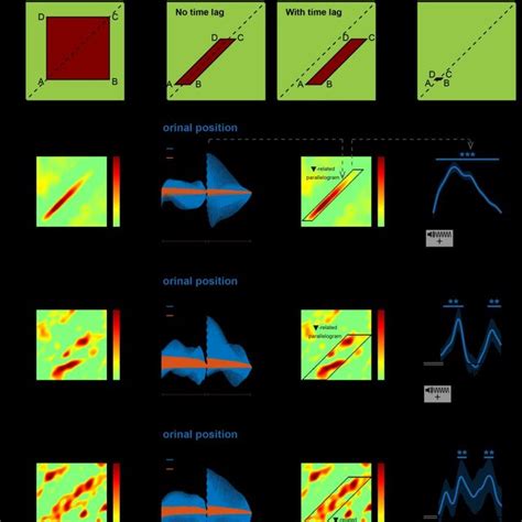 Cross Time Representational Generalization And Stable Dynamic Ordinal