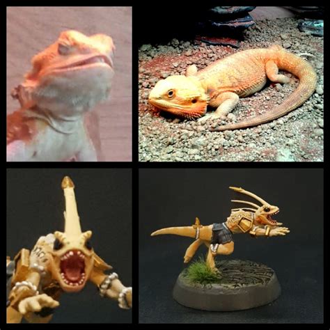 Skinks Blood Bowl Miniatures Wh Fb Lizardmen Lizardman