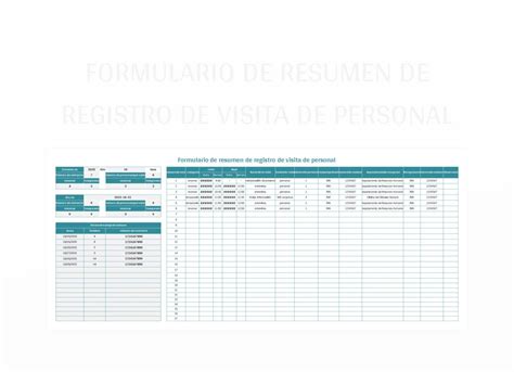 Plantilla De Excel Formulario De Resumen De Registro De Visita De