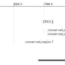 Genomic context of highly conserved non-coding DNA elements (CNEs) in ... 