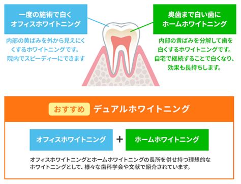 ホワイトニング インプラント治療に強い名古屋市の歯医者【名古屋イースト歯科・矯正歯科】