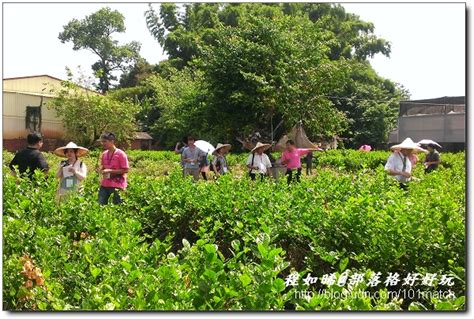 夏日輕旅行2》茉莉花壇夢想館 630開幕 程如晞部落格好好玩 Udn部落格