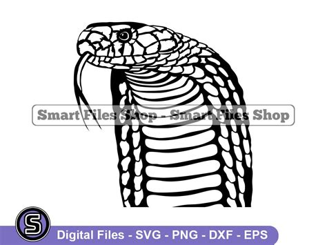 King Cobra Svg Snake Svg Cobra Mascot Svg Cobra Dxf Cobra Etsy