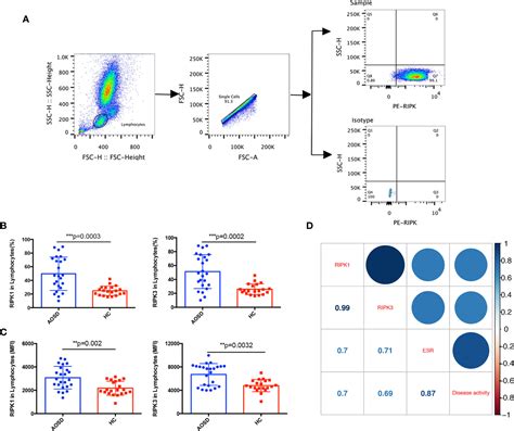 Frontiers The Role Of Ripk13 In Adult Onset Stills Disease Patients