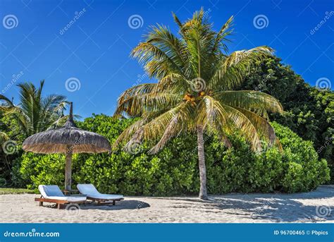 Loungers And Umbrella On Tropical Beach In Mauritius Island Stock Image