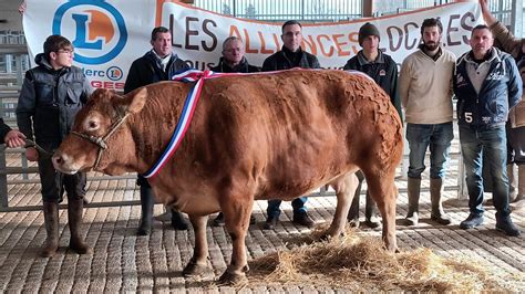 Concours De St Yrieix Bourdelas