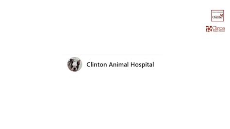 Clinton Animal Hospital - Welcome to Clinton, Missouri