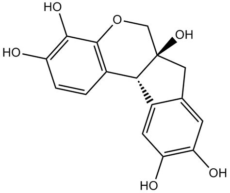 Hematoxylin