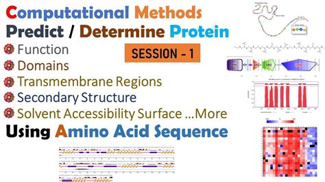 Bioinformatics Methods In Identification Protein Function Domains