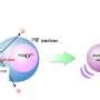 Researchers Synthesize Two New Isotopes Osmium And Tungsten