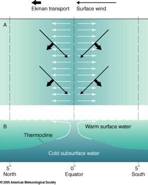 Ocean Motion : Definition : Wind Driven Surface Currents - Upwelling ...