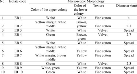 Macroscopic Characteristics Of The Growth Of Isolates Of Rhizosphere