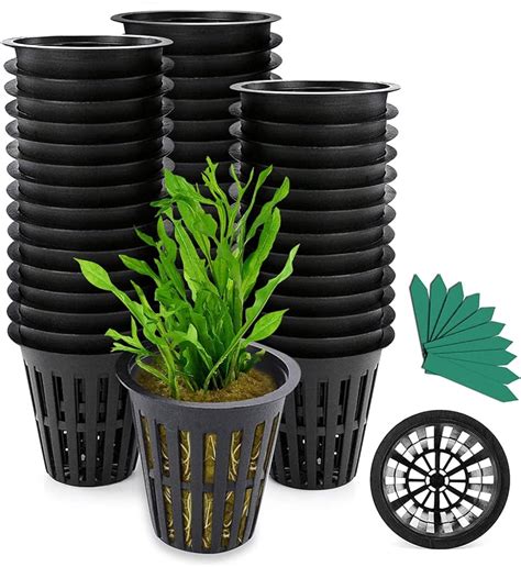 Hydroponic Net Pots Near Me Top Local Finds And Tips