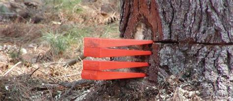 Stacking Wedges In Felling Tree