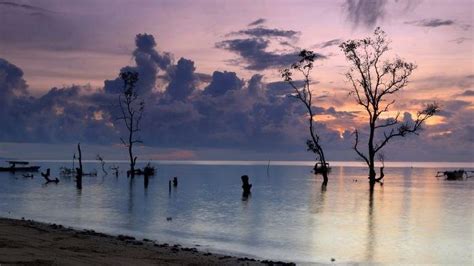 Tempat Wisata Terbaik Di Balikpapan Bisa Nongkrong Dan Camping