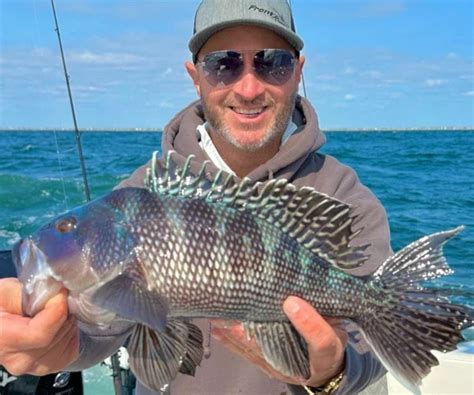 Black Sea Bass Tips And Tackle Tackledirect