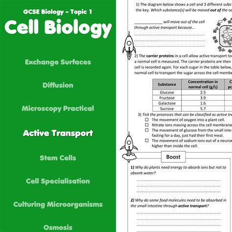 Active And Passive Transport Overview And Differences Worksheets Library