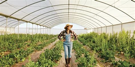 Fresh Produce Companies Celebrate National Hispanic Heritage Month