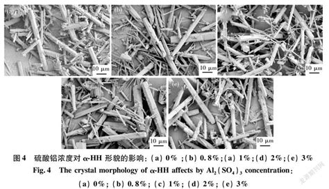 转晶剂对na2so4 乙二醇水体系中磷石膏制备的α 半水石膏晶体形貌的影响参考网