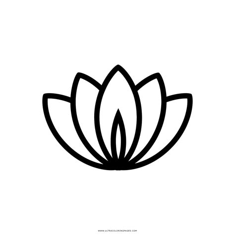 Lotus Flower Coloring Sheet Best Flower Site