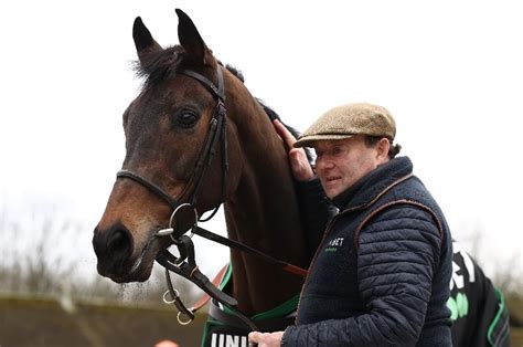 Nicky Henderson Stable Tour 2022/23 | Key quotes and news