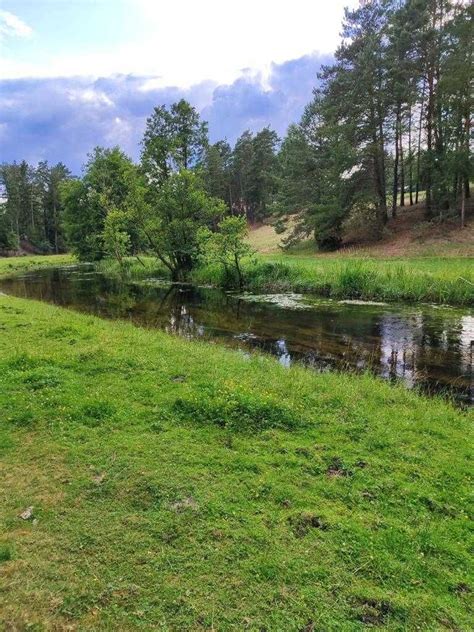 Domek Na Wynajem Kaszuby Pojezierze Kaszubskie Las Rzeka Jezioro