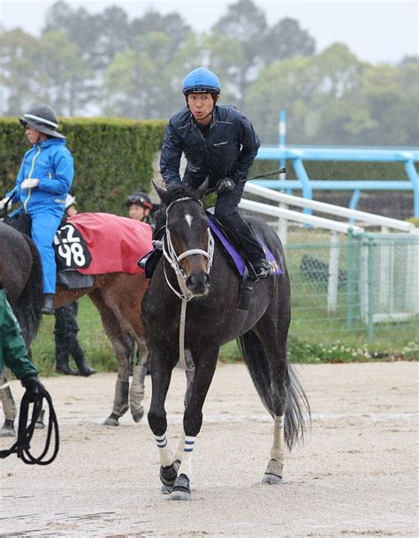 和田竜二騎手を含むツイート ついふぁん！