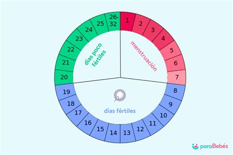 Calculadora De Días Fértiles Y Ovulación Pasion Paternal