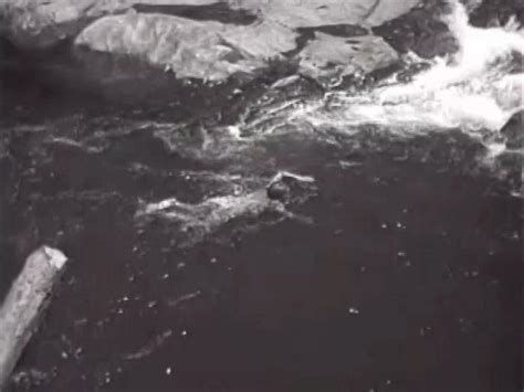 Shirley Mills Nude Pics Page