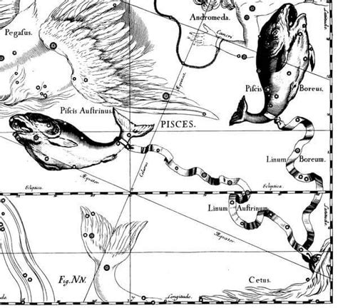 雙魚座 星座日期：2月20日 ~ 3月20日 占星之門