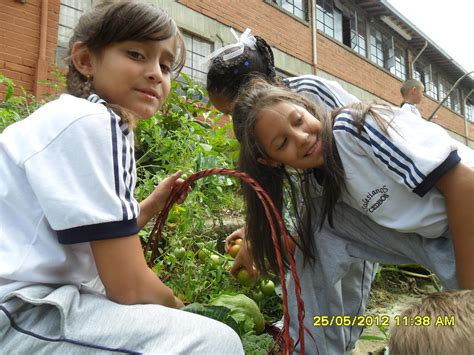 Escuela De Agricultura EcolÓgica Con Énfasis En Asociatividad Agricultura En Terrazas