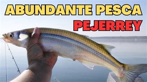 Pesca De Pejerrey Argentina Youtube