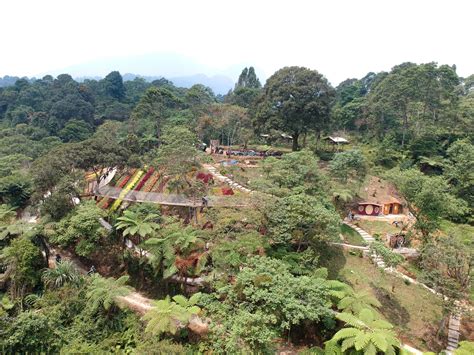 bukit halimun salak tiket wahana