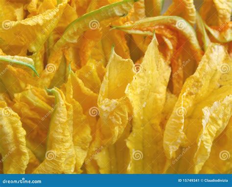 Courgette flowers stock image. Image of food, flowers - 15749341