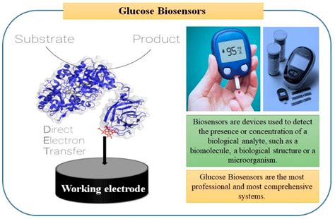 Sensors Free Full Text Advances In Electrochemical Nano Biosensors