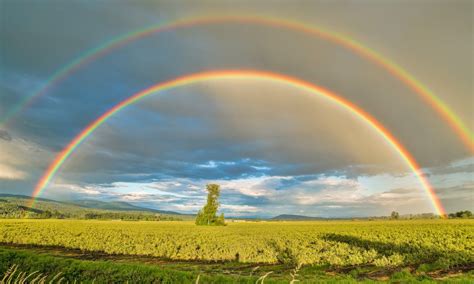 7 images that show off nature’s vibrant rainbow of colors