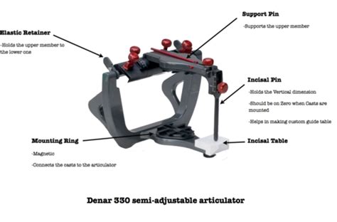 Fixed Prosthodontics Articulators And Facebows Flashcards Quizlet