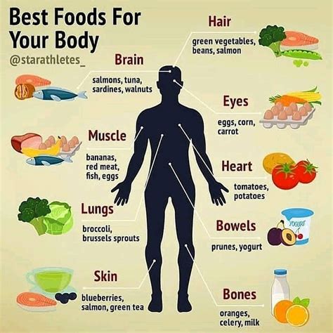 Which Food Is Best For Which Body Organ Food And Health Pitribe