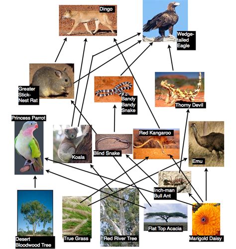 Tjapesblog21 Biodiversity Hotspots Sw Australia