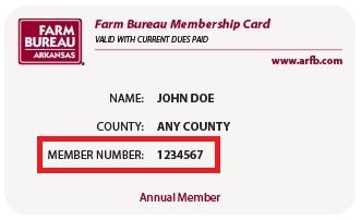 policy information find member number