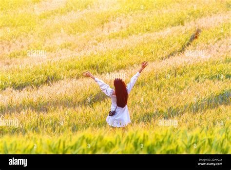 Beautiful Girl Enjoying Nature On The Wheat Field At Sunset Light Free