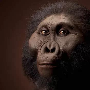 Paranthropus boisei | The Smithsonian Institution's Human Origins Program