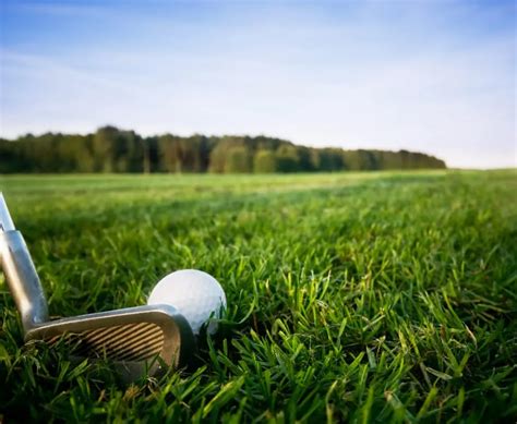 Golf E Giardinaggio Aumentano Il Rischio Di Malattie Dei Neuroni Motori