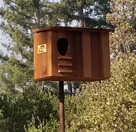 Amador Barn Owl Nesting Box: Full Cedar Exterior — Amador Barn Owl Box ...