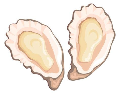 Premium Vector Cartoon Oysters Seafood Restaurant Raw Snack Icon