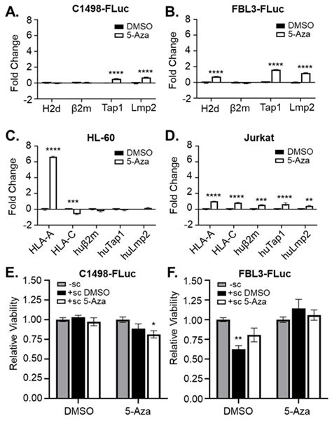 Cancers Free Full Text Azacytidine Mediated Modulation Of The