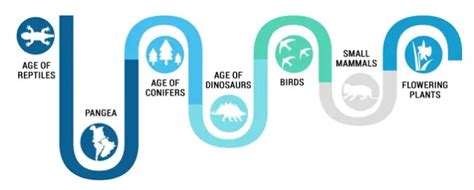 The Mesozoic Era: The Age of Reptiles, Dinosaurs and Conifers - Earth How