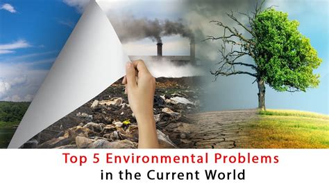 Top 5 Environmental Problems In The Current World Youtube