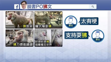 狒狒全台通緝中！ 陳其邁跟風發「狒」文耍「狒」